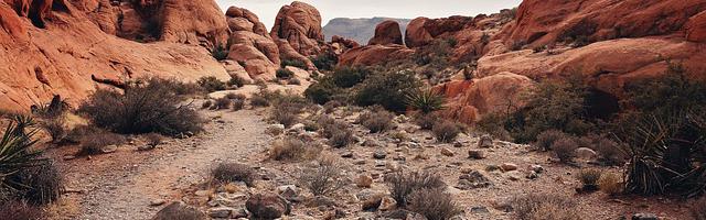 上門龍婿葉辰蕭初然_第3260章 這下完了……