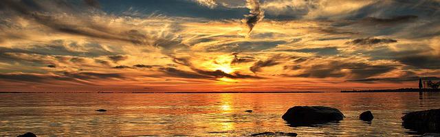 上門龍婿葉辰蕭初然_第790章 繳械投降