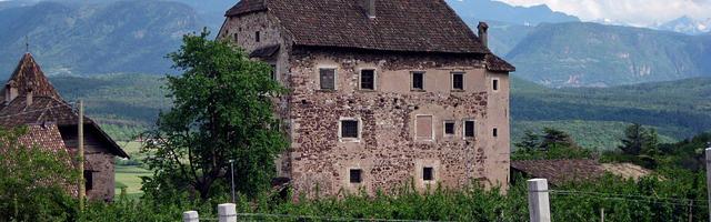 上門龍婿葉辰蕭初然_第3337章 你們自己選