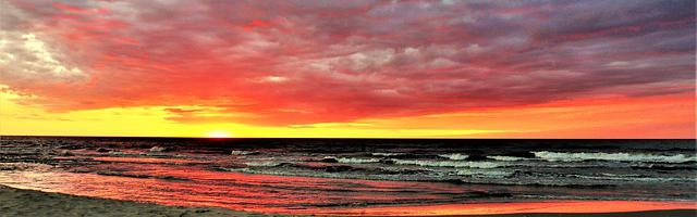 上門龍婿葉辰蕭初然_第2602章 打假斗士