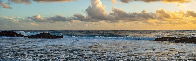 都市神醫葉辰很囂張_第12311章 四神獸（三合一）