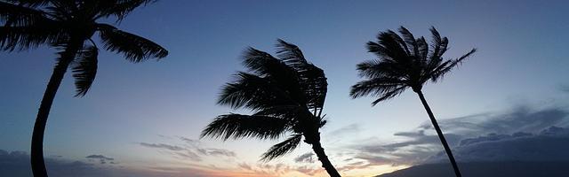 上門龍婿葉辰蕭初然_第3298章 別讓他活！