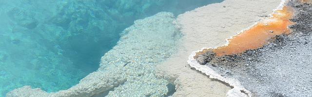 上門龍婿葉辰蕭初然_第3084章 福爾摩斯