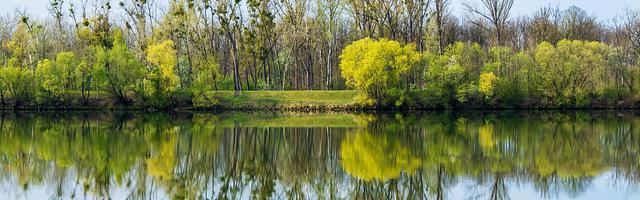 上門龍婿葉辰蕭初然_第2235章 看我盤不盤你就完了