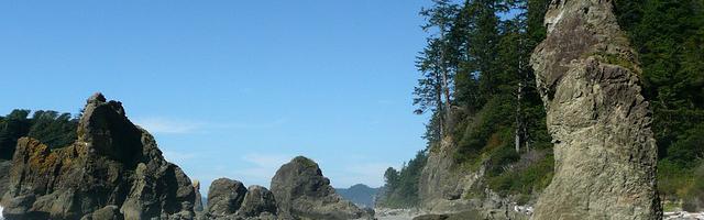 上門龍婿葉辰蕭初然_第182章 施天齊要開醫館