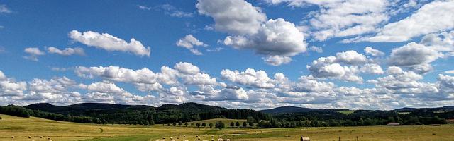 上門龍婿葉辰蕭初然_第2622章 品行第一