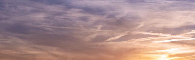 上門龍婿葉辰蕭初然_第3067章 還滿意嗎？