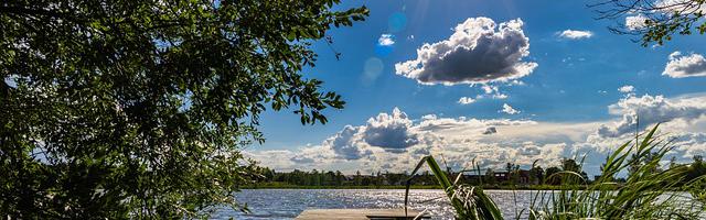 上門龍婿葉辰蕭初然_第3012章 應該是同一個