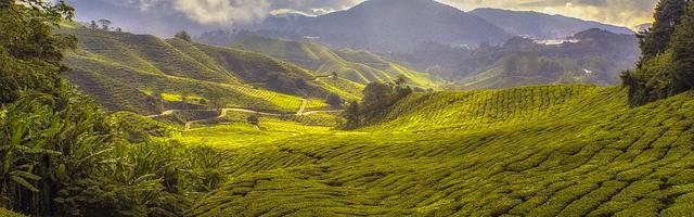 上門龍婿葉辰蕭初然_第3151章 無賴戰術