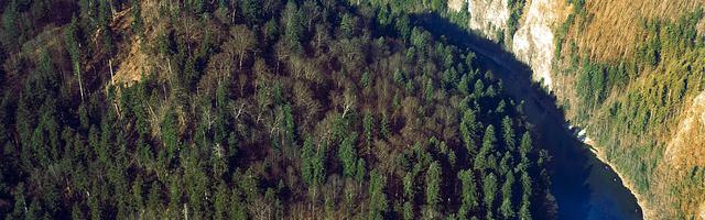 上門龍婿葉辰蕭初然_第449章 我要和你在一起