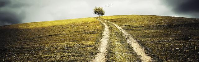 上門龍婿葉辰蕭初然_第833章 相互制衡