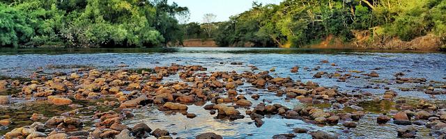 上門龍婿葉辰蕭初然_第3291章 嫌疑人