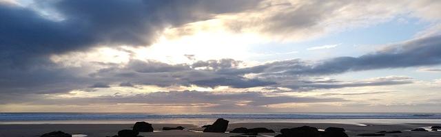 上門龍婿葉辰蕭初然_第1274章 臥底