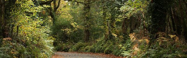 上門龍婿葉辰蕭初然_第1757章 向列祖列宗懺悔！