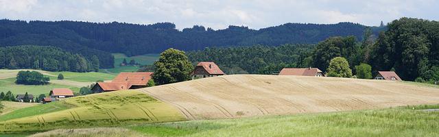 上門龍婿葉辰蕭初然_第2394章 一個都不要留