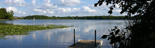 上門龍婿葉辰蕭初然_第52章 你會死的很慘！