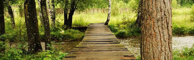 上門龍婿葉辰蕭初然_第40章 再度被打臉