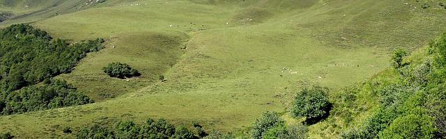 上門龍婿葉辰蕭初然_第38章 全完了