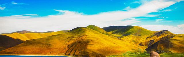 上門龍婿葉辰蕭初然_第1311章 爭取拿下