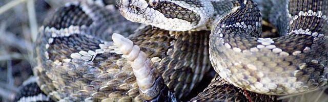 上門龍婿葉辰蕭初然_第163章 大人物齊聚！