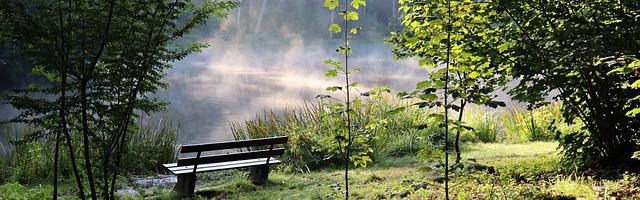 上門龍婿葉辰蕭初然_第291章 把你女兒嫁給我