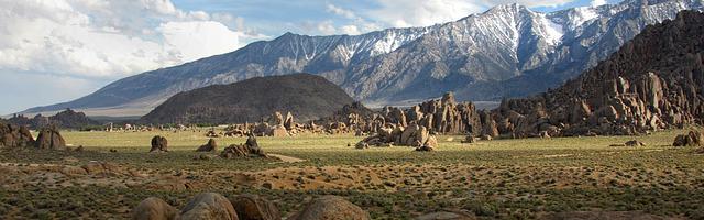 上門龍婿葉辰蕭初然_第821章 讓他們付出代價！