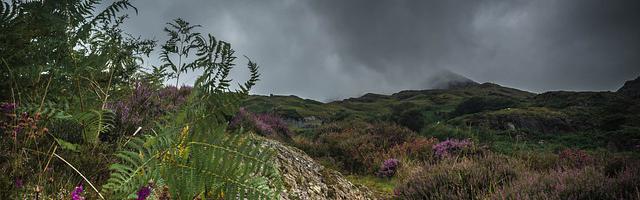 上門龍婿葉辰蕭初然_第3036章 三年期限