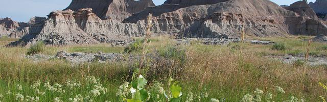 上門龍婿葉辰蕭初然_第109章 藥到病除