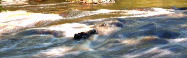 上門龍婿葉辰蕭初然_第2899章 兩條路