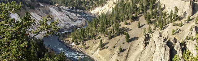 上門龍婿葉辰蕭初然_第3168章 效果出奇的好！