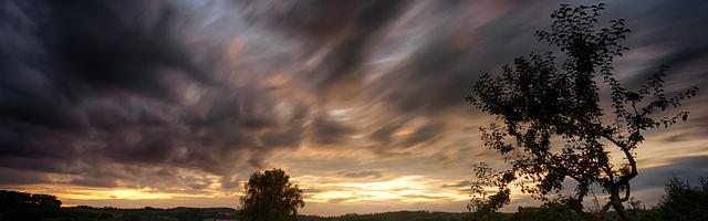 上門龍婿葉辰蕭初然_第2323章 靈機一動