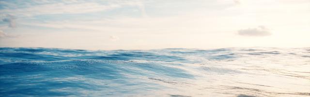 上門龍婿葉辰蕭初然_第3276章 送溫暖