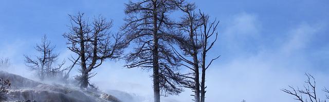 上門龍婿葉辰蕭初然_第1818章 趕緊回國！