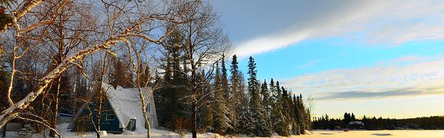 上門龍婿葉辰蕭初然_第141章 吃屎都不夠資格