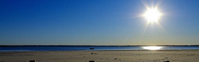 上門龍婿葉辰蕭初然_第412章 包吃包住還免費