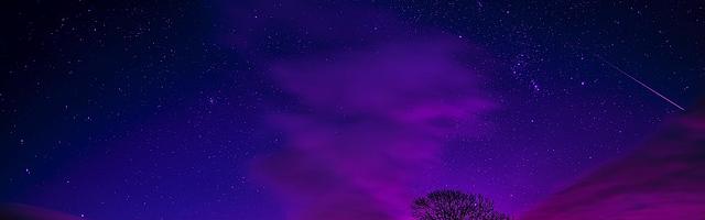 上門龍婿葉辰蕭初然_第926章 笑面虎