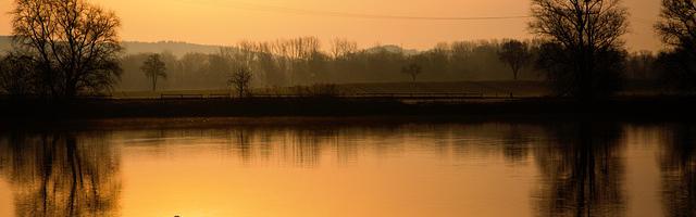 上門龍婿葉辰蕭初然_第533章 成事不足、敗事有余