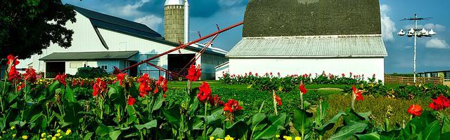 上門龍婿葉辰蕭初然_第418章 不能輕易放過你！