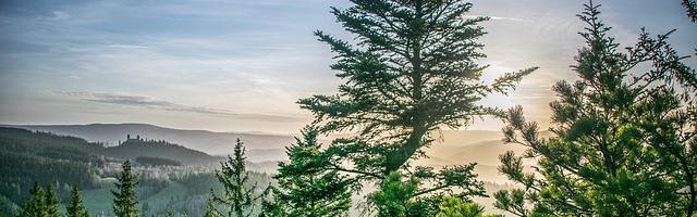 上門龍婿葉辰蕭初然_第747章 為國爭光！