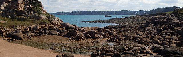 上門龍婿葉辰蕭初然_第2926章 尋找周彼得