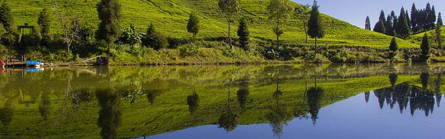 上門龍婿葉辰蕭初然_第2914章 活的就行