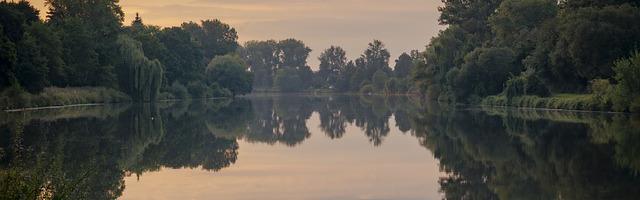 上門龍婿葉辰蕭初然_第2847章 有天大的好事！