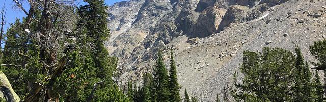 上門龍婿葉辰蕭初然_第260章 左右開弓