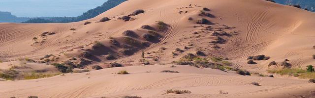 上門龍婿葉辰蕭初然_第3154章 你完了