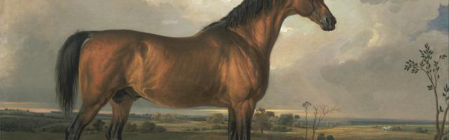 上門龍婿葉辰蕭初然_第754章 殺了你這畜生！