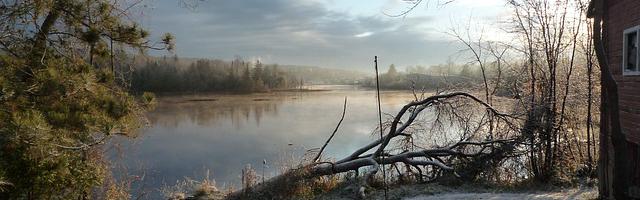 上門龍婿葉辰蕭初然_第154章 年輕二十歲！