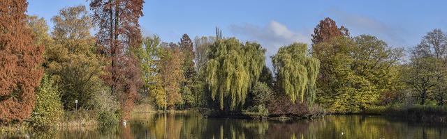 上門龍婿葉辰蕭初然_第403章 喂了狗了