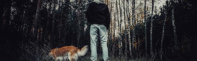 上門龍婿葉辰蕭初然_第3287章 簡直就是詐騙！