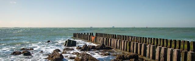 上門龍婿葉辰蕭初然_第1017章 抓她！判她！