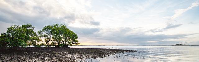 上門龍婿葉辰蕭初然_第739章 把九玄制藥啃下來！